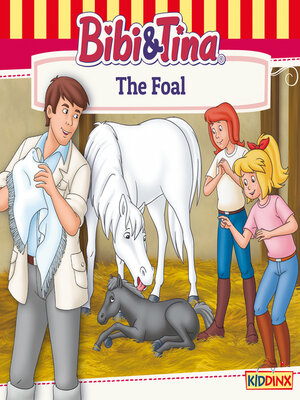 cover image of Bibi and Tina, the Foal